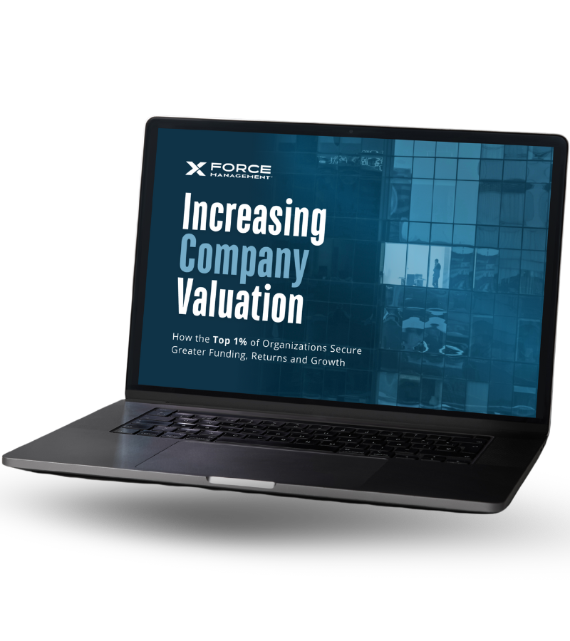 LP eBook Mockup increasing valuation