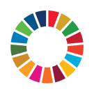 SDG Wheel